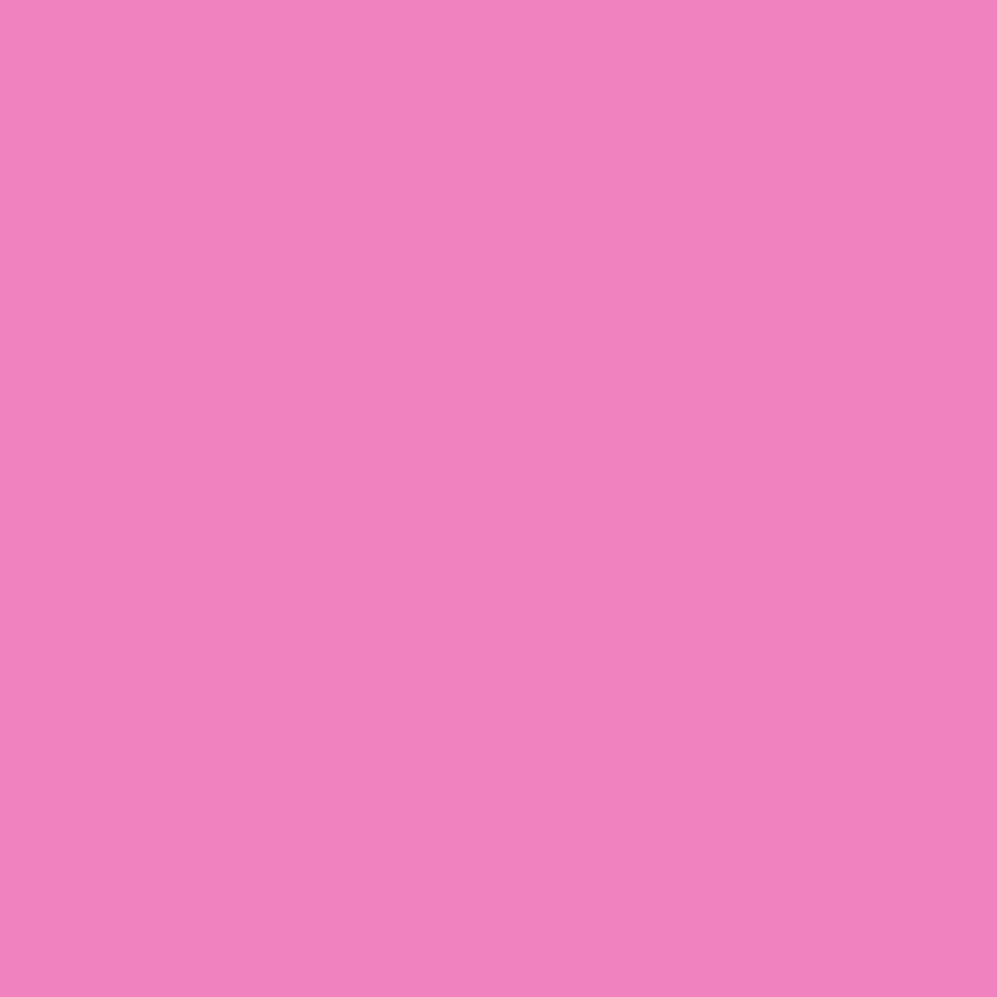 Shoulder Pulley for Physical Therapy, Pulleys for Shoulder Rehab, Over the Door Physical Therapy System, Arm Exercise Pulley Eq
