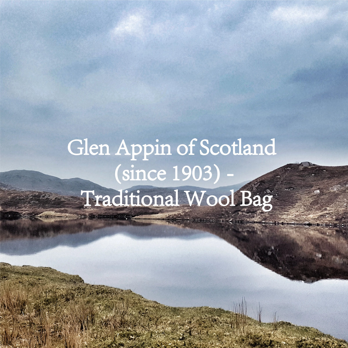 Glen Appin Harris Tweed Wool Tote Bag With Crossbody Strap