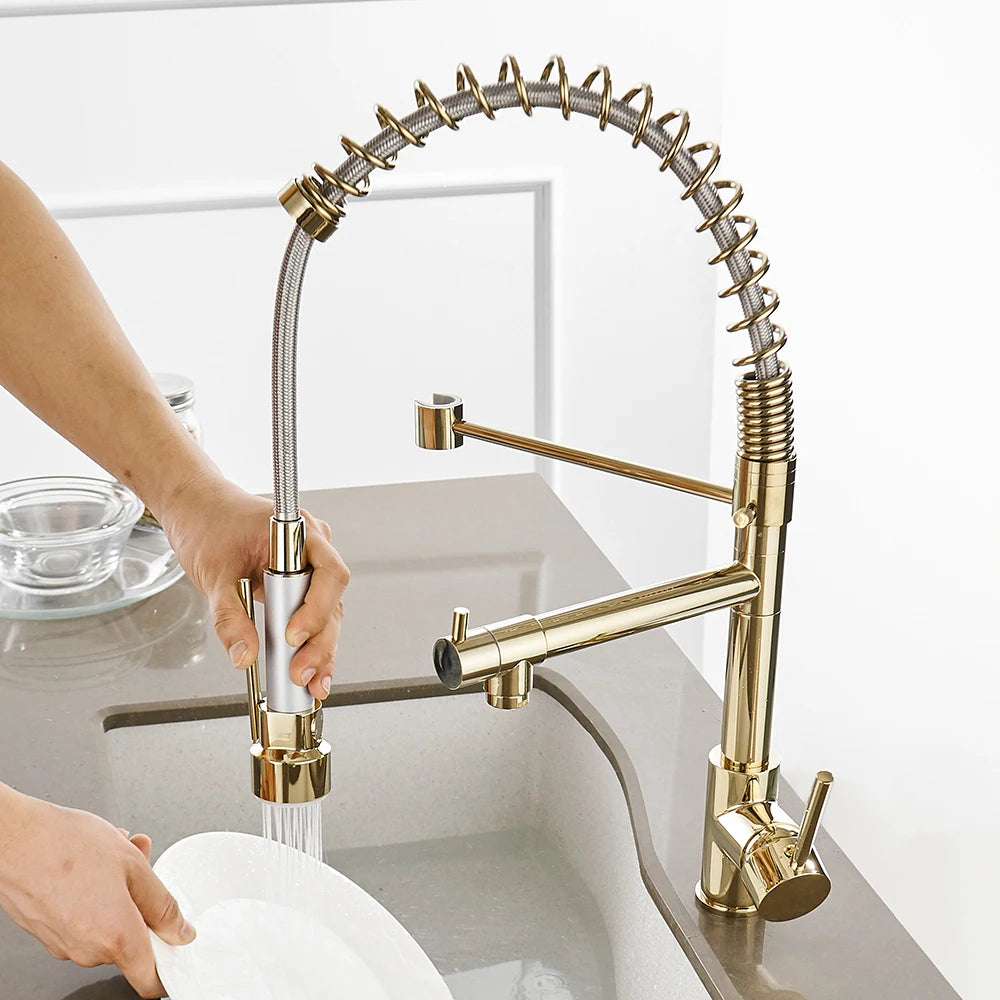 Kitchen Sink Faucet With Single Pull Out Sprout Deck Mounted