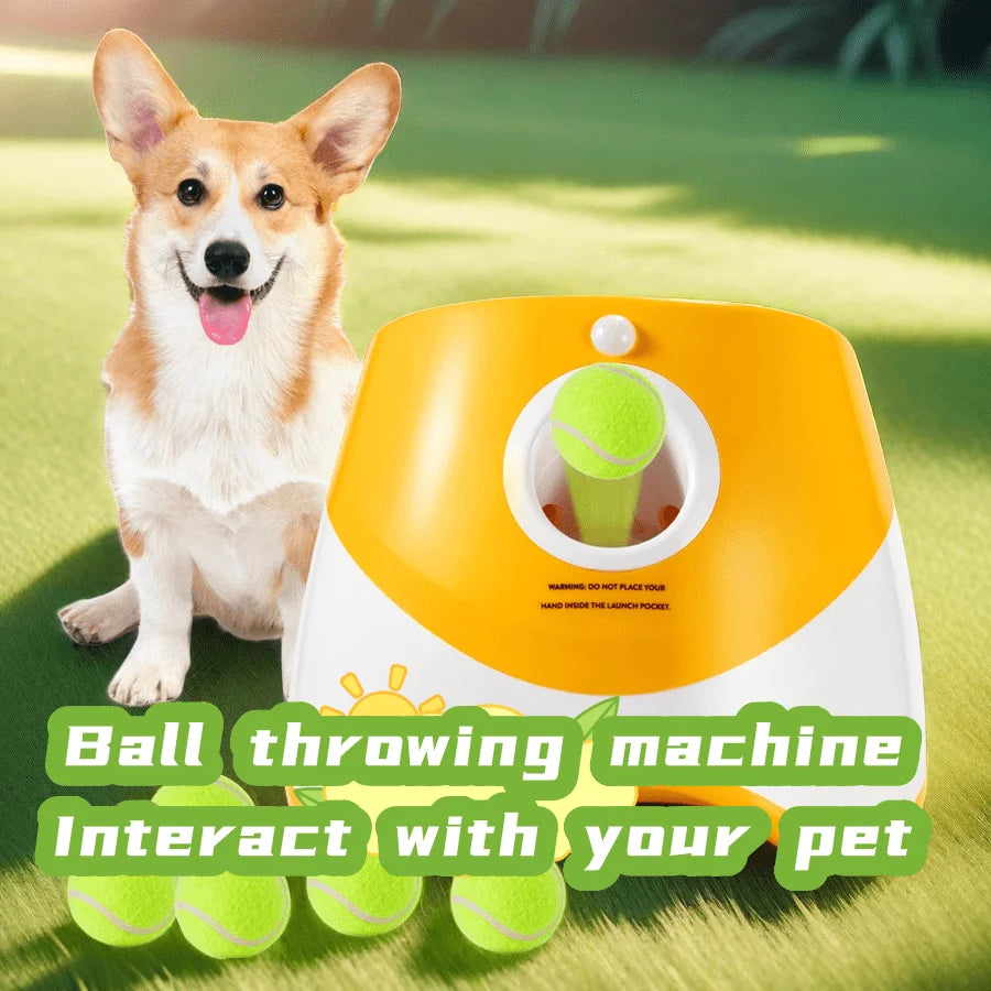 Automatic Ball Launcher For Dogs USB Rechargeable ABS Toy