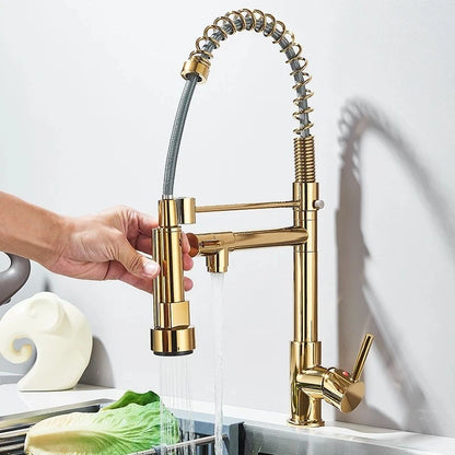 SHBSHAIMY Spring Kitchen Faucet Pull Down Dual Swivel Spout Hot Cold