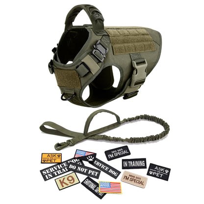 Military-style dog harness with handle, leash, and assorted service dog patches