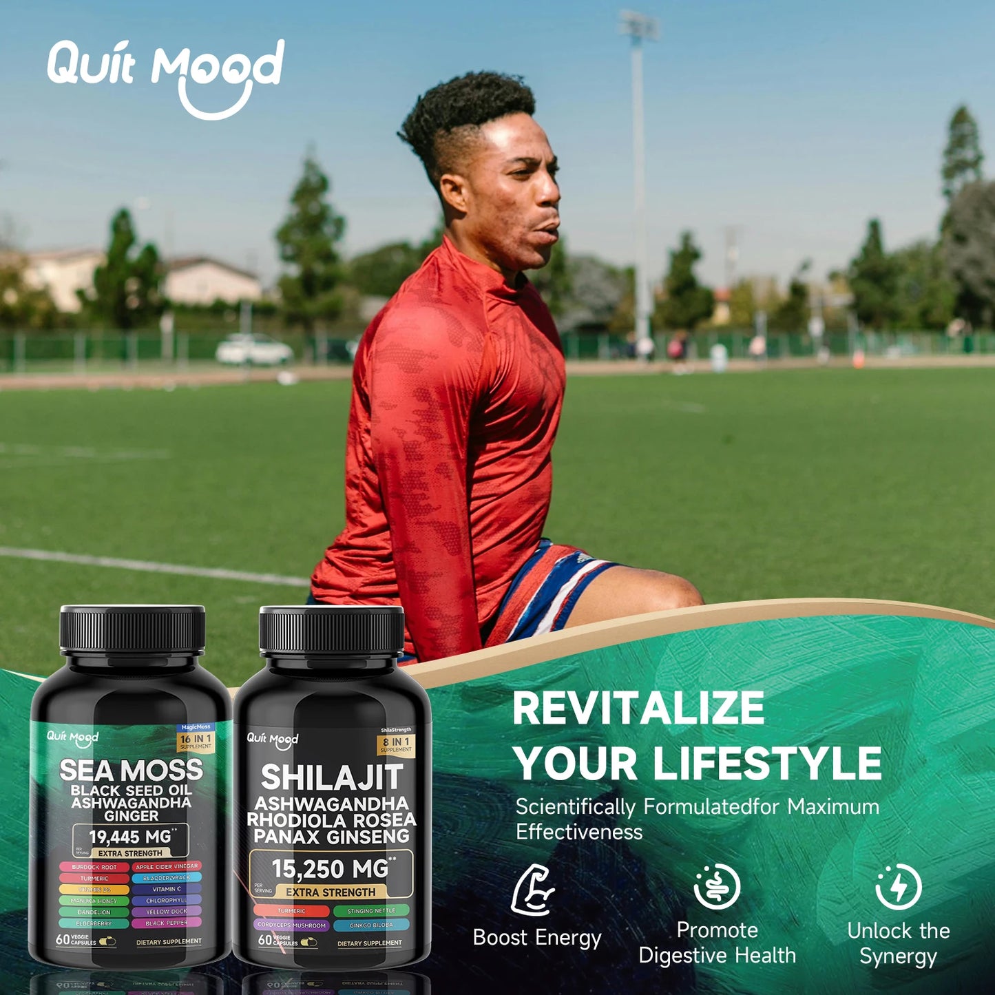 Quit Mood Sea Moss Shilajit Bundle 120 Capsules With Ashwagandha