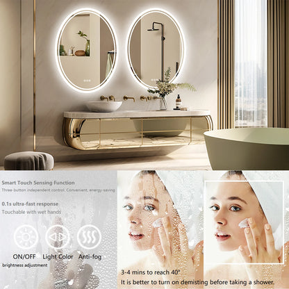 Wisfor Led Backlit Oval Vanity Mirror With Lights Dimmable
