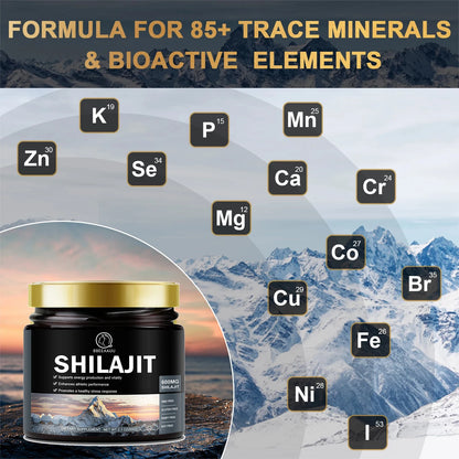 Beworths Shilajit Resin Himalaya Pure Mineral Health Supplement