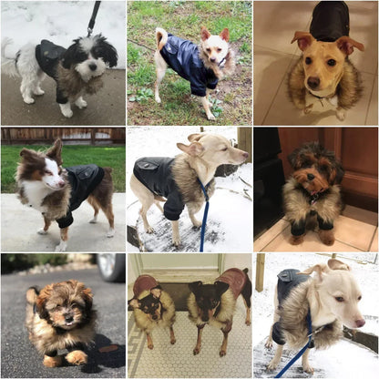 High Concerned Waterproof PU Leather Dog Winter Coat Jacket With Soft Fleece Lining And Windproof Design