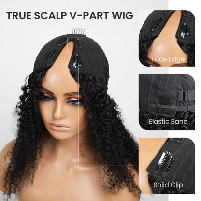 Frizira Body Wave V Part Wig Human Hair 250 Density