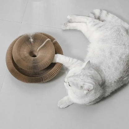Cat Accordion Magic Organ Cat Scratching Board Cat Toy Ball Scratch Pad Cat Scratcher Kitty Kurlz Cat Toy