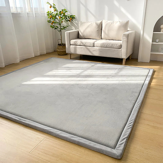 Soft Nonslip Coral Velvet Rug for Living Room and Bedroom