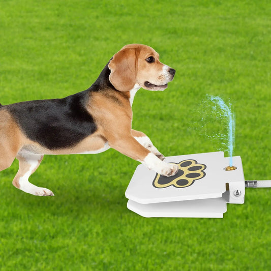Dog Water Fountain Outdoor Pet Dispenser Step On Activated Sprinkler