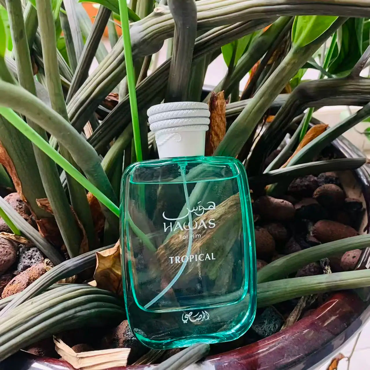 Rasasi Hawas Eau De Toilette For Men Long Lasting Fragrance