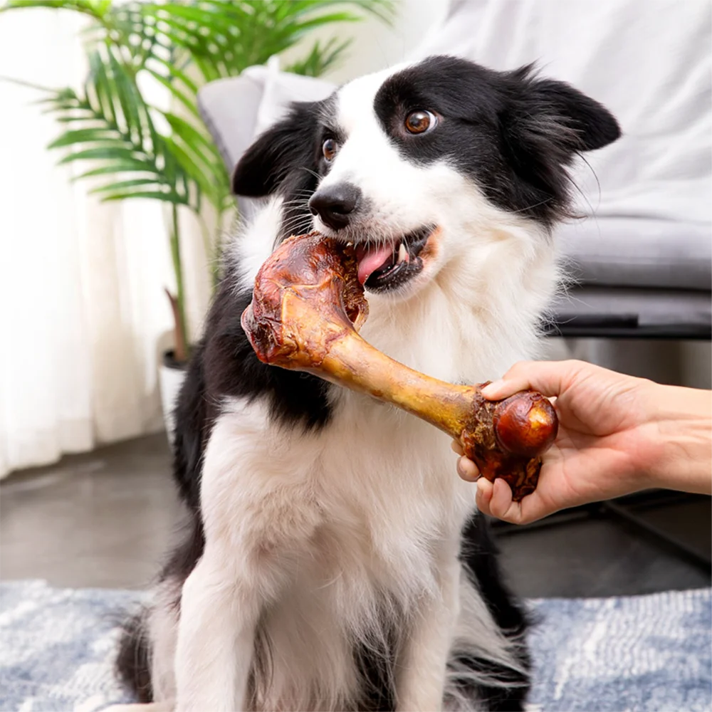 Cow Bone Dog Treats All Natural Digestible Chews For Dogs