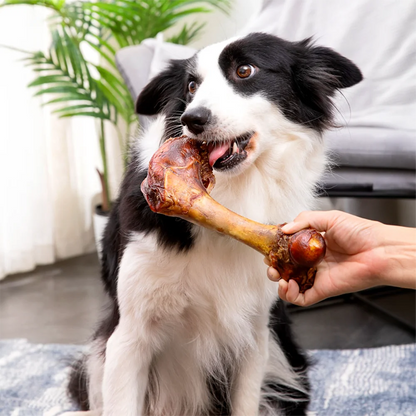 Cow Bone Dog Treats All Natural Digestible Chews For Dogs