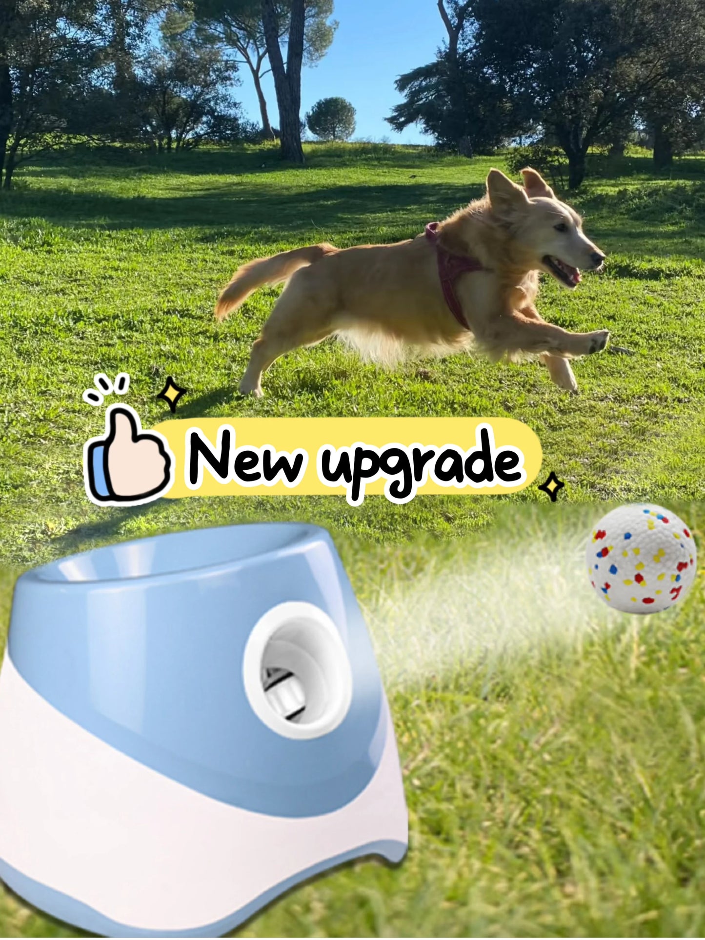 Automatic Ball Launcher For Dogs USB Rechargeable ABS Toy