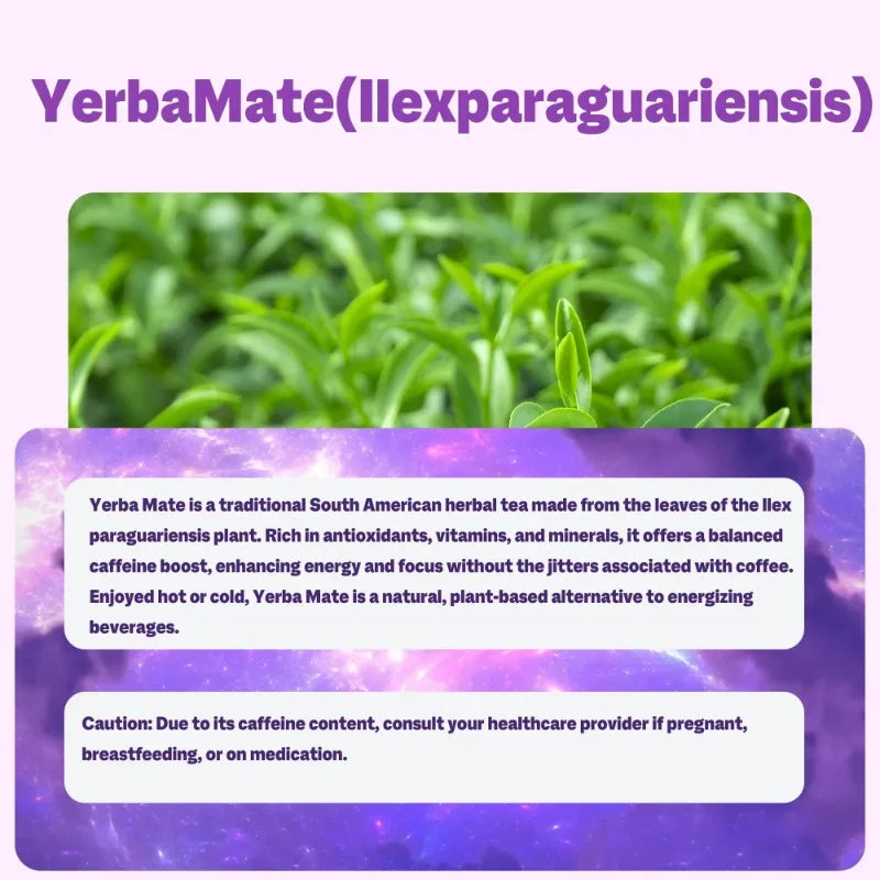 PslalaeCharge Yerba Mate 3-in-1 Energy Supplement Lions Mane Mushroom