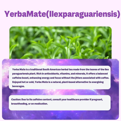 PslalaeCharge Yerba Mate 3-in-1 Energy Supplement Lions Mane Mushroom