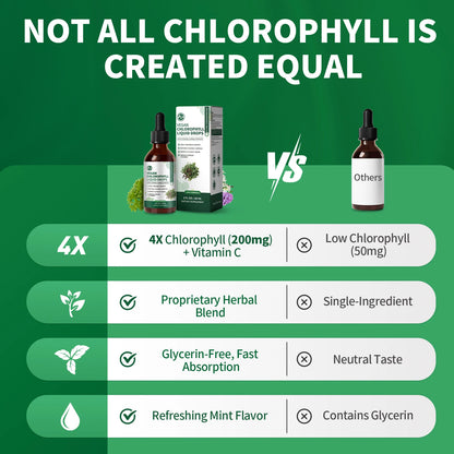 Minch Chlorophyll Liquid Drops 4X Concentrated,Supports Natural Cleansing & Immune Health,Internal Deodorant, Skin & Gut Health